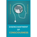 The disenchantment of consciousness