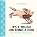 It's a Tough Job Being a Dog: Life Through a Dog's Eyes