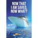 Now That I Am Saved, Now What?