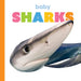 Baby Sharks