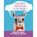 How Many Llamas Does a Car Weigh?: Creative Ways to Look at Weight