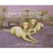 The Adventures of Bay & Breezy: Lost in the Zoo