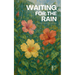 Waiting for the Rain: Bilingual Brazilian Portuguese-English Children's Stories for Beginners