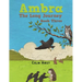 Ambra: The Long Journey