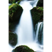 A Pretty Creek: Creeks, Streams and Waterways in General Are Known as Surface Hydrology and Are a Core Element of Environmental Geography.