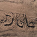 DLL List Landscape: The Art from Computer Memory Space
