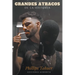 Grandes atracos de la historia