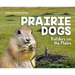 Prairie Dogs: Builders on the Plains: Builders on the Plains