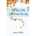 The Boy Who Fell From the Sky