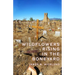 Wildflowers Rising in the Boneyard
