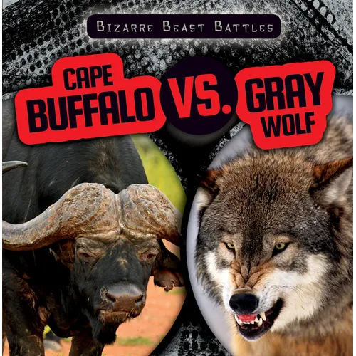 Cape Buffalo vs. Gray Wolf