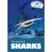The World of Sharks
