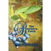 The Blueberry Patch