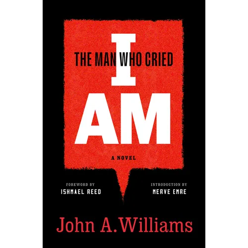 The Man Who Cried I Am: A Novel