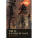 Fire in a Windless Place