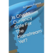 Is Crypto Currency Safe For The Mainstream Yet?