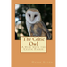 The Celtic Owl: A Year with the Celtic Faerie