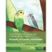Little Parakeet, Story and Follow-up Activities: Periquito, el Cuento y Actividades