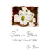 The Crowns of the Believers: Set Apart, Surrounded, Shielded