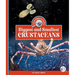 Biggest and Smallest Crustaceans