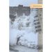 If You Lived Here: The City in Art, Theory, and Social Activism: A Project by Martha Rosier