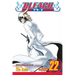 Bleach, Vol. 22