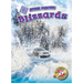 Blizzards