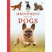 The Magnificent Book of Dogs