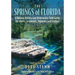 The Springs of Florida: A Natural History and Underwater Field Guide for Divers, Snorkelers, Paddlers, and Visitors
