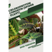 Chlorophytum comosum (Spider Plant): Open terrarium, Beginner's Guide
