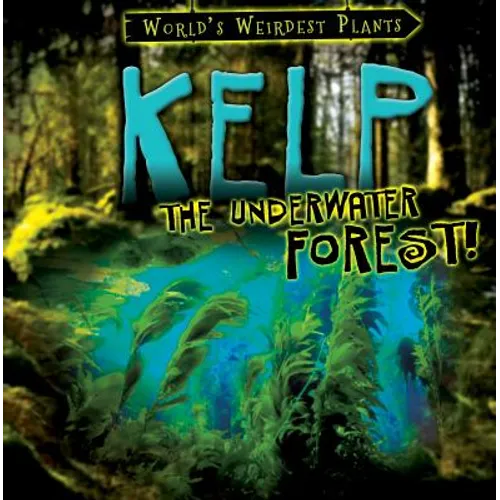 Kelp: The Underwater Forest!