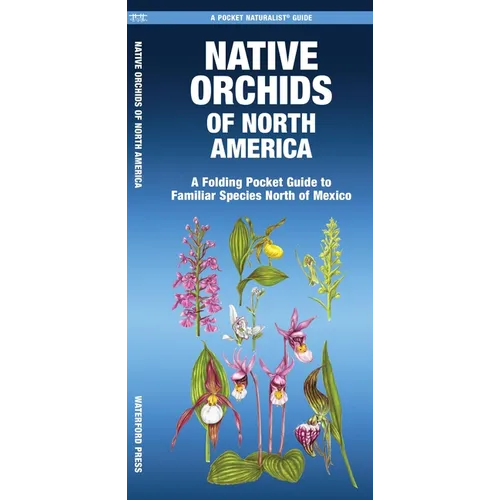 Native Orchids of North America