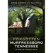 Forgotten Murfreesboro, Tennessee: If Walls Could Talk