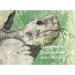 Galápagos Sketchbook
