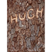 Hugh Hayden: American Vernacular