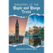 Whispers of the Maple and Mango Trees