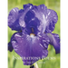 Inspirations Poems by Iris G. Carter