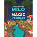 Milo and the Magic Pebbles