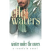 Winter Under the Covers: A Small Town MM Secret Relationship Romance