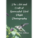 The Art and Craft of Successful Bird Flight Photography