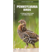 Pennsylvania Birds: A Folding Pocket Guide to Familiar Species