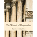 The Wizards of Ozymandias (Large Print Edition): Reflections on the Decline and Fall