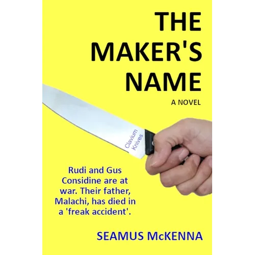 The Maker's Name: A literary, Irish family-saga, for grownups