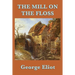 The Mill on the Floss: A Victorian Novel of Family, Fate, and Moral Choice