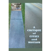 A Critique of Cities and Motion
