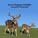 West Virginia Animals and Mammals Kids Wildlife Book: Great Wildlife Book about Animals and Mammals in West Virginia