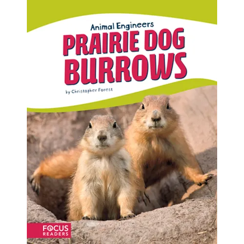Prairie Dog Burrows
