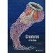 Creatures of the Deep: The Pop-Up Book