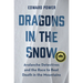 Dragons in the Snow: Avalanche Detectives and the Race to Beat Death in the Mountains