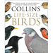 Collins Life-Size Birds: The Only Guide to Show British Birds at Their Actual Size